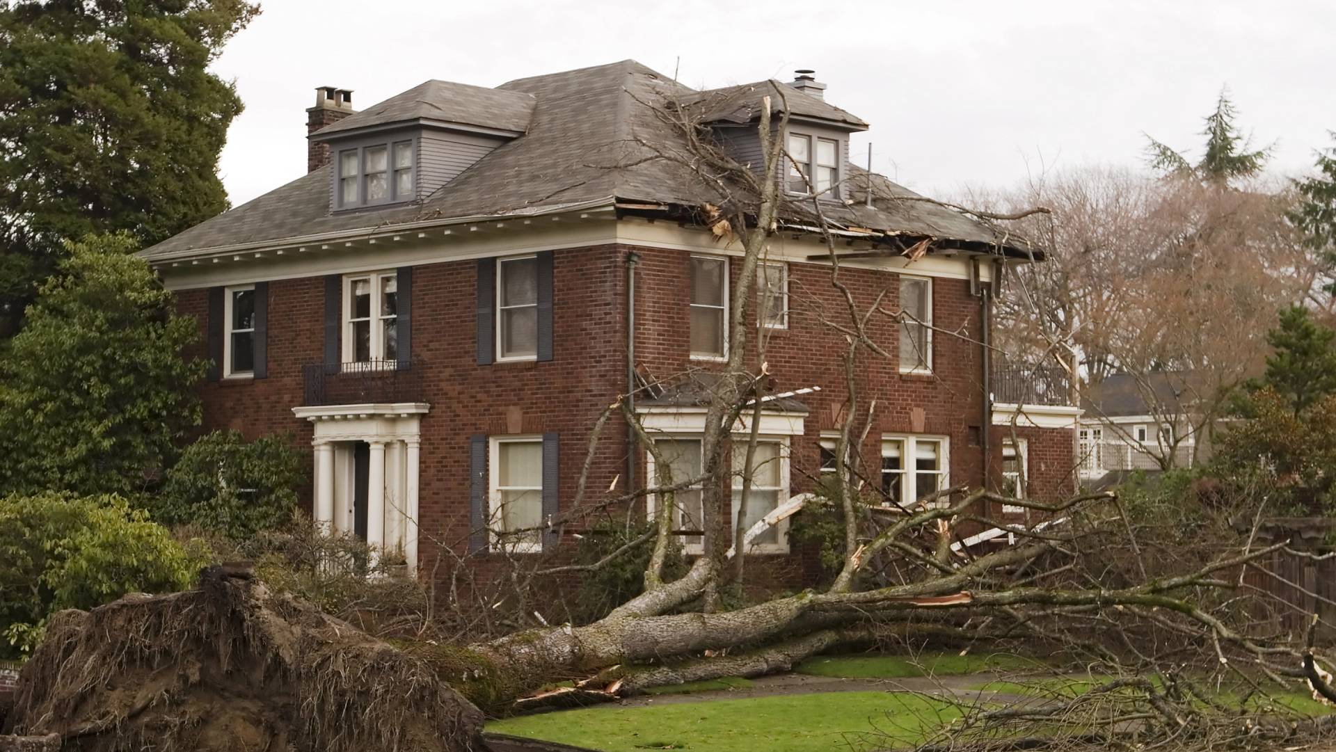 Storm damage